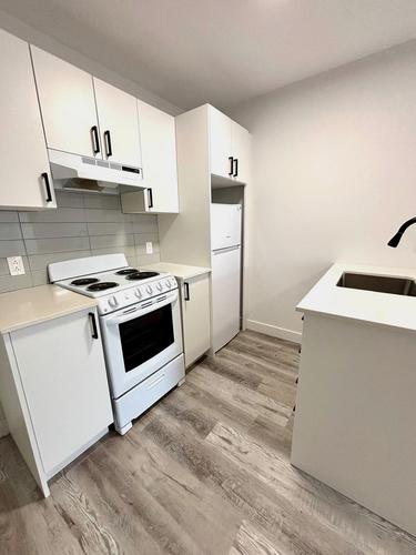 1 bedroom apartment for rent in Montreal - Le Plateau-Mont-Royal — photo 2