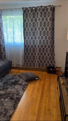 Appartement de 1 chambre à louer à Longueuil — photo 3