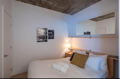 Appartement de 2 chambres à louer à Québec - La Cité-Limoilou — photo 16
