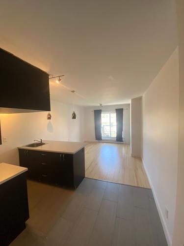 1 bedroom apartment for rent in Montreal - Rosemont–La Petite-Patrie — photo 4