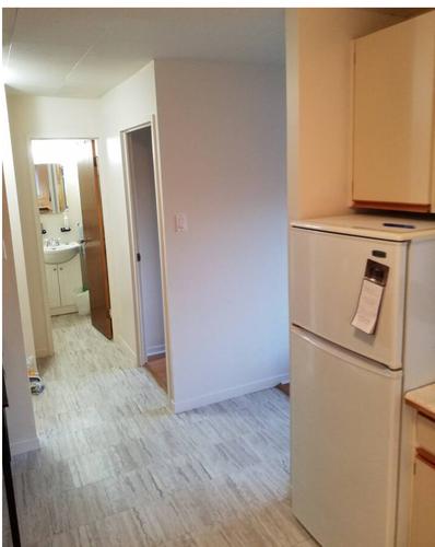 1 bedroom apartment for rent in Gatineau — photo 2