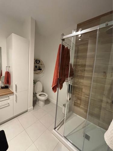 1 bedroom apartment for rent in Québec - Les Rivières — photo 6