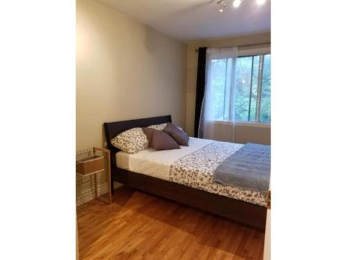 2 bedrooms apartment for rent in Montreal - Le Plateau-Mont-Royal — photo 3