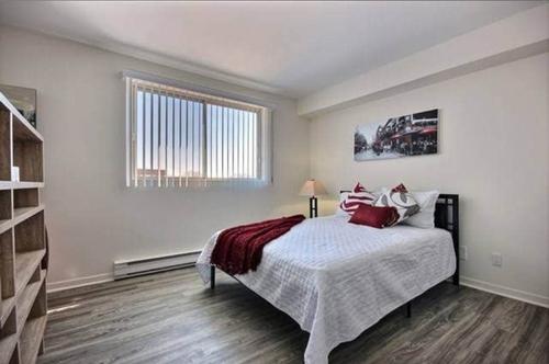 2 bedrooms apartment for rent in Québec - La Cité-Limoilou — photo 3