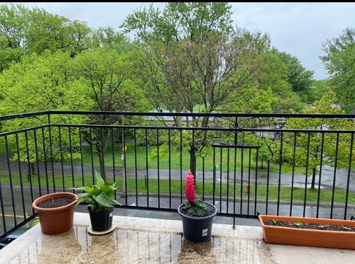 4 bedrooms apartment for rent in Montreal - Le Plateau-Mont-Royal — photo 18