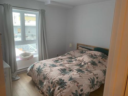Appartement de 2 chambres à louer à Québec - La Cité-Limoilou — photo 7