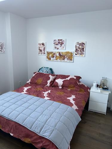 Appartement de 1 chambre à louer à Sherbrooke — photo 5