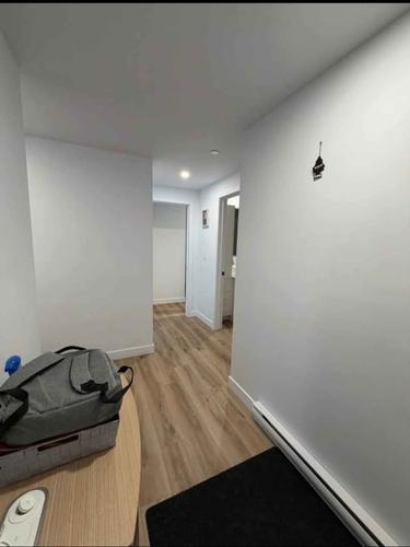 Appartement de 2 chambres à louer à Québec - La Cité-Limoilou — photo 4