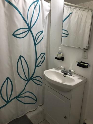 2 bedrooms apartment for rent in Montreal - Le Plateau-Mont-Royal — photo 5