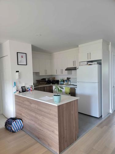 Appartement de 2 chambres à louer à Montreal - Le Plateau-Mont-Royal — photo 7
