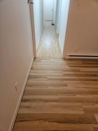 Appartement de 1 chambre à louer à Québec - La Cité-Limoilou — photo 2
