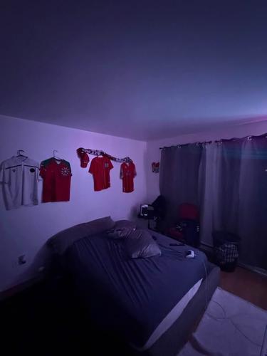 Appartement de 1 chambre à louer à Longueuil — photo 4