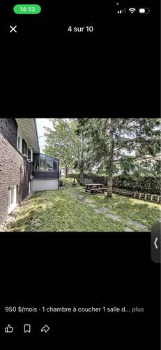 Studio à louer à Québec - Sainte-Foy–Sillery–Cap-Rouge — photo 5