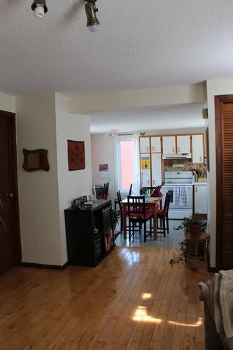 Appartement de 1 chambre à louer à Gatineau — photo 3