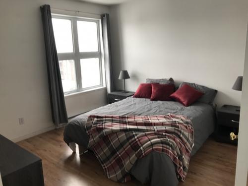 2 bedrooms apartment for rent in Lévis — photo 14