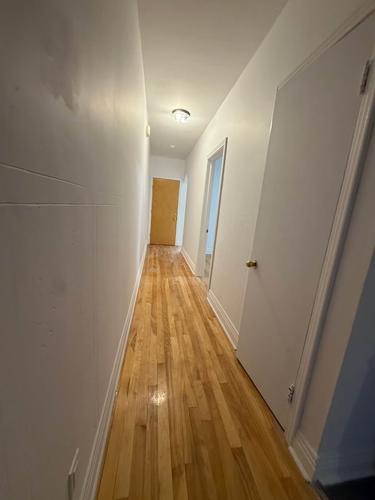 1 bedroom apartment for rent in Montreal - Le Plateau-Mont-Royal — photo 5