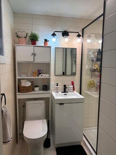 1 bedroom apartment for rent in Montreal - Rosemont–La Petite-Patrie — photo 6