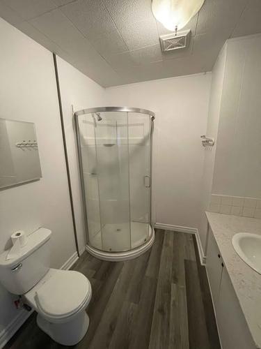 Appartement de 1 chambre à louer à Gatineau — photo 6