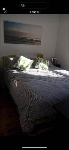 Appartement de 1 chambre à louer à Gatineau — photo 6