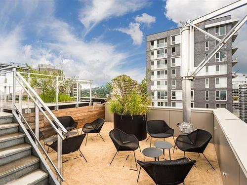 1 bedroom apartment for rent in Montreal - Ville-Marie — photo 9