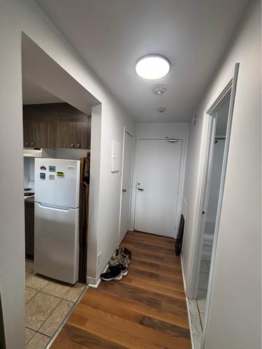 1 bedroom apartment for rent in Montreal - Rosemont–La Petite-Patrie — photo 2