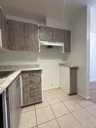 1 bedroom apartment for rent in Longueuil — photo 9