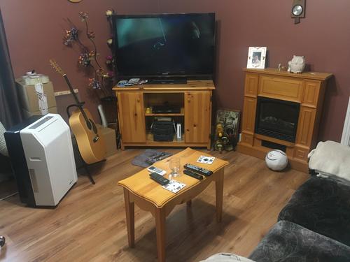 1 bedroom apartment for rent in Lévis — photo 7
