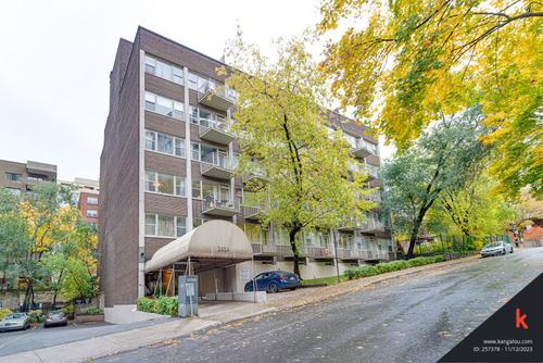 Studio for rent in Montreal - Ville-Marie — photo 5