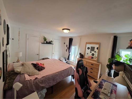 1 bedroom apartment for rent in Lévis — photo 5
