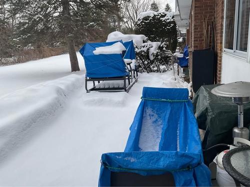 Appartement de 1 chambre à louer à Saint-Lambert (Montérégie) — photo 9