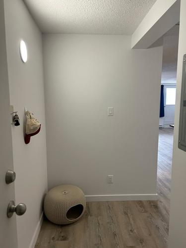 Appartement de 1 chambre à louer à Gatineau — photo 6