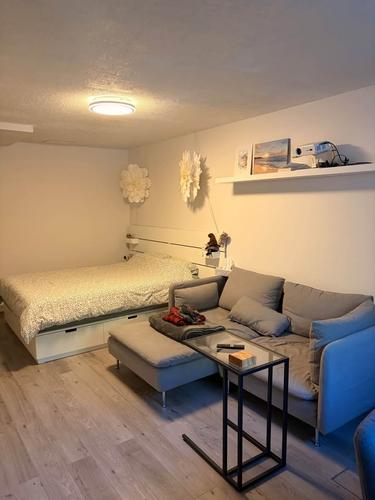 1 bedroom apartment for rent in Montreal - Villeray–Saint-Michel–Parc-Extension — photo 8