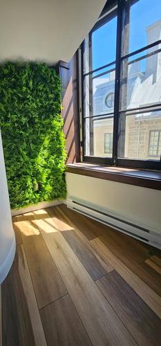 Appartement de 2 chambres à louer à Québec - La Cité-Limoilou — photo 20