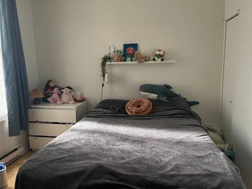 Appartement de 2 chambres à louer à Montreal - Rosemont–La Petite-Patrie — photo 14