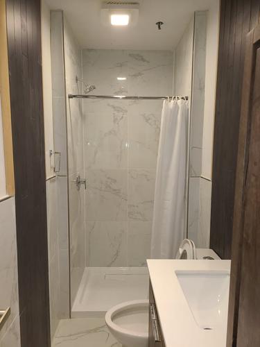 Appartement de 1 chambre à louer à Montreal - Le Plateau-Mont-Royal — photo 9