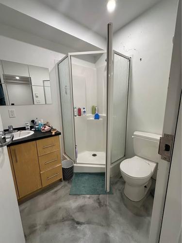 Appartement de 4 chambres à louer à Montreal - Ville-Marie — photo 9