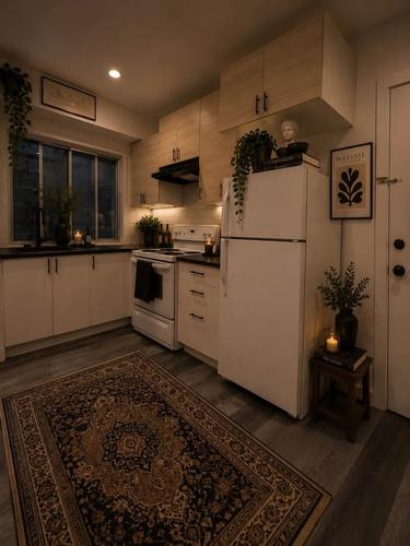 2 bedrooms apartment for rent in Montreal - Le Plateau-Mont-Royal — photo 11