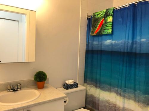 Appartement de 1 chambre à louer à Montreal - Rosemont–La Petite-Patrie — photo 4