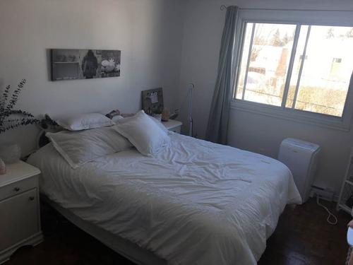 2 bedrooms apartment for rent in Laval — photo 7