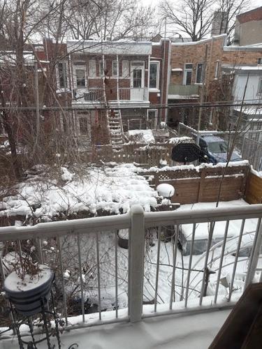 2 bedrooms apartment for rent in Montreal - Rosemont–La Petite-Patrie — photo 6
