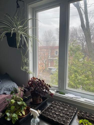Appartement de 3 chambres à louer à Longueuil — photo 14