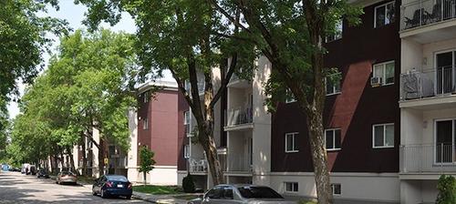 1 bedroom apartment for rent in Québec - La Cité-Limoilou — photo 15