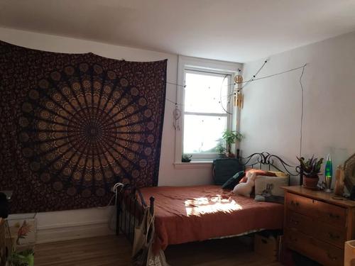 Studio for rent in Québec - La Cité-Limoilou — photo 4