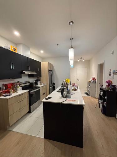 2 bedrooms apartment for rent in Gatineau — photo 6