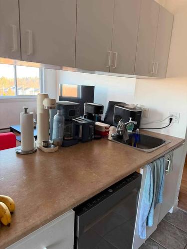 Appartement de 3 chambres à louer à Québec - La Haute-Saint-Charles — photo 6