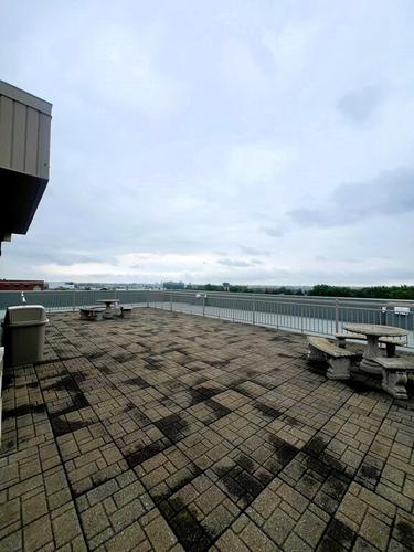 Appartement de 1 chambre à louer à Brossard — photo 8