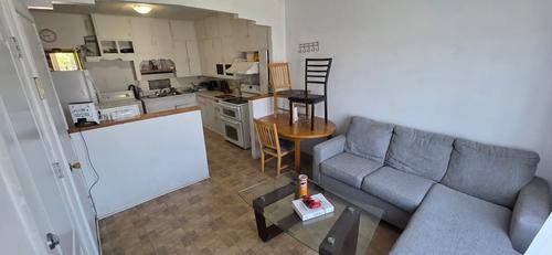 Appartement de 1 chambre à louer à Montreal - Rosemont–La Petite-Patrie — photo 3