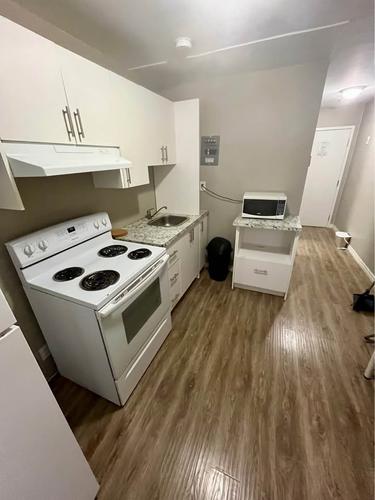 1 bedroom apartment for rent in Montreal - Le Plateau-Mont-Royal — photo 2