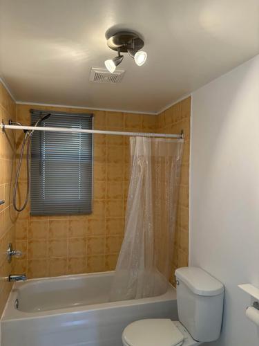 Appartement de 2 chambres à louer à Montreal - Rosemont–La Petite-Patrie — photo 11