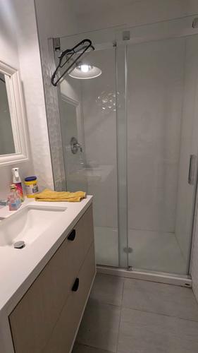4 bedrooms apartment for rent in Montreal - Le Plateau-Mont-Royal — photo 13